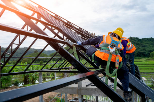 Best Roof Leak Repair  in Earlvle, IL