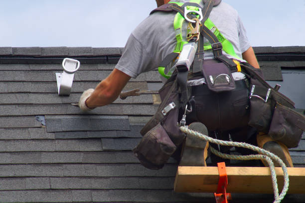 Best Roof Maintenance Services  in Earlvle, IL