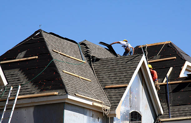 Best Roof Waterproofing Services  in Earlvle, IL