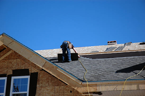 Best Storm Damage Roof Repair  in Earlvle, IL