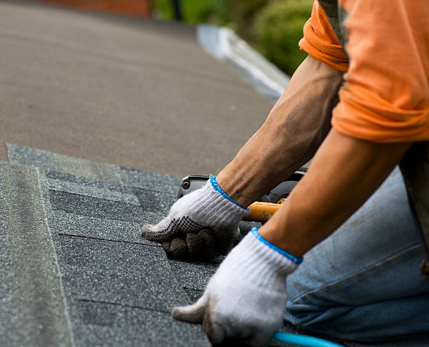 Best Gutter Installation and Roofing  in Earlvle, IL