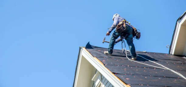 Best Emergency Roof Repair  in Earlvle, IL